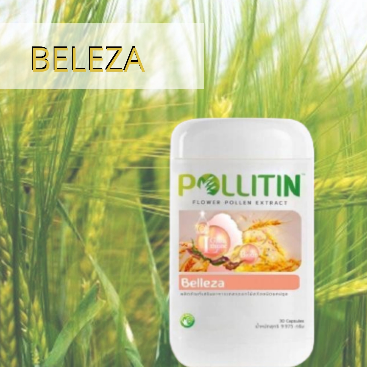 พอลลิติน พอลลิตัน Polltin Belleza เบลเลซา(ชลอความชรา)