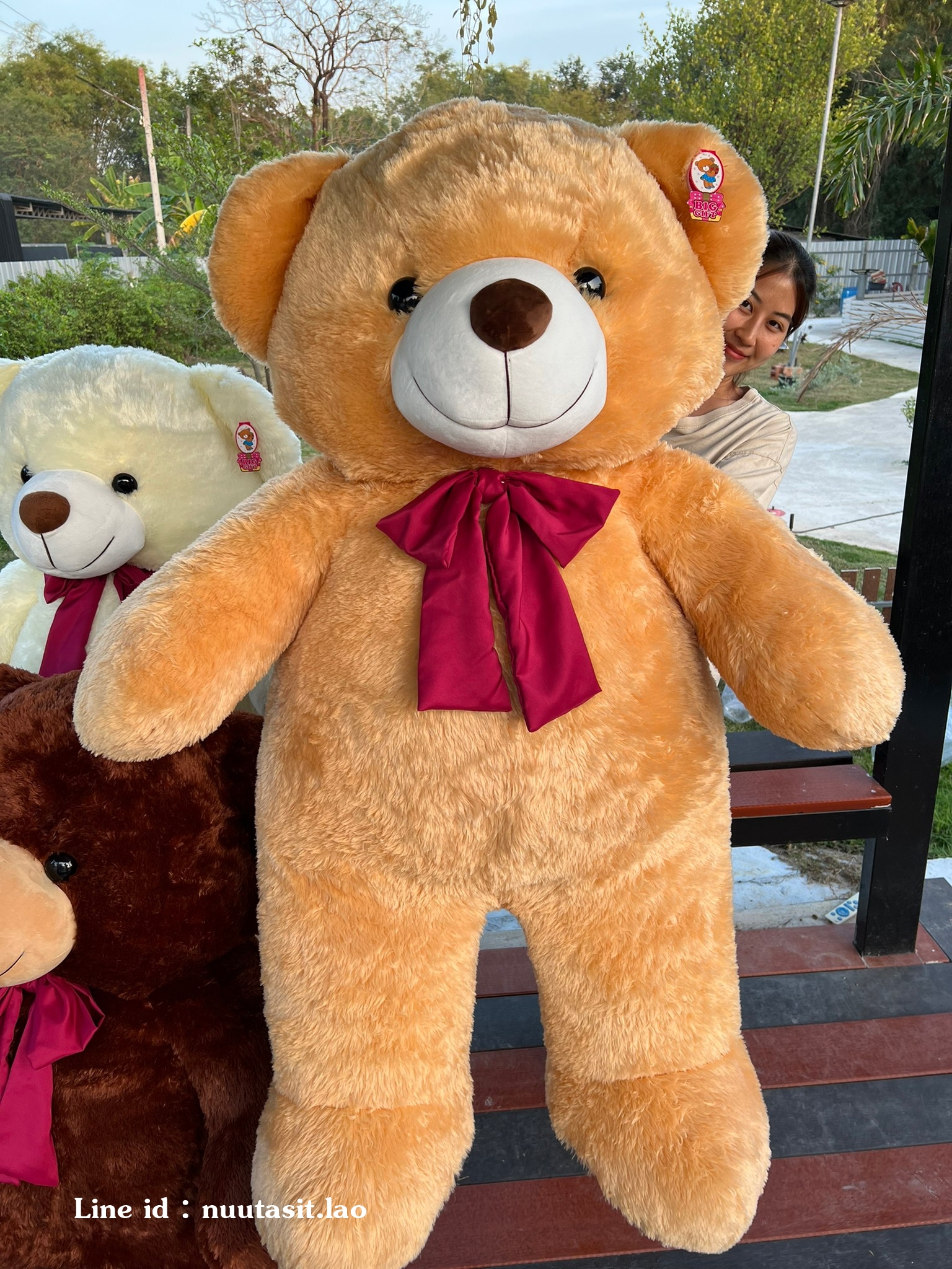 น้องหมีงานยักษ์สุด180cm