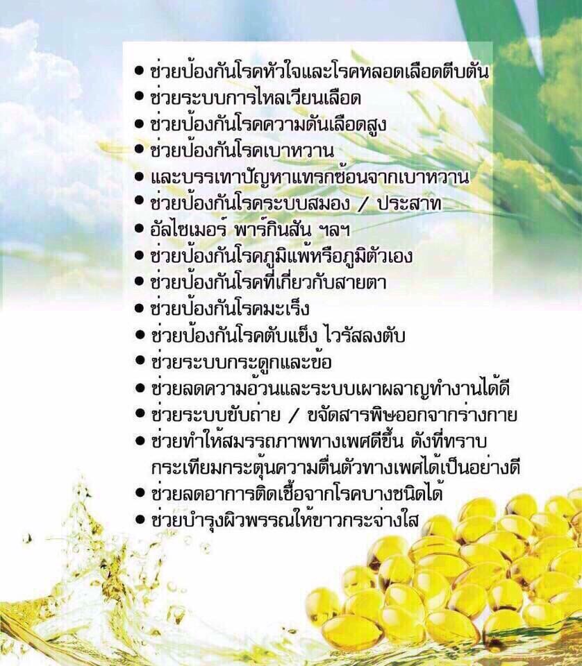 ดีดีน่า 2 แถม 2 น้ำมันรวม 4 ชนิด บรรจุ 500 เเคปซูล จำนวน 2 ขวด แถม 60 แคปซูล 2 ขวดเล็ก