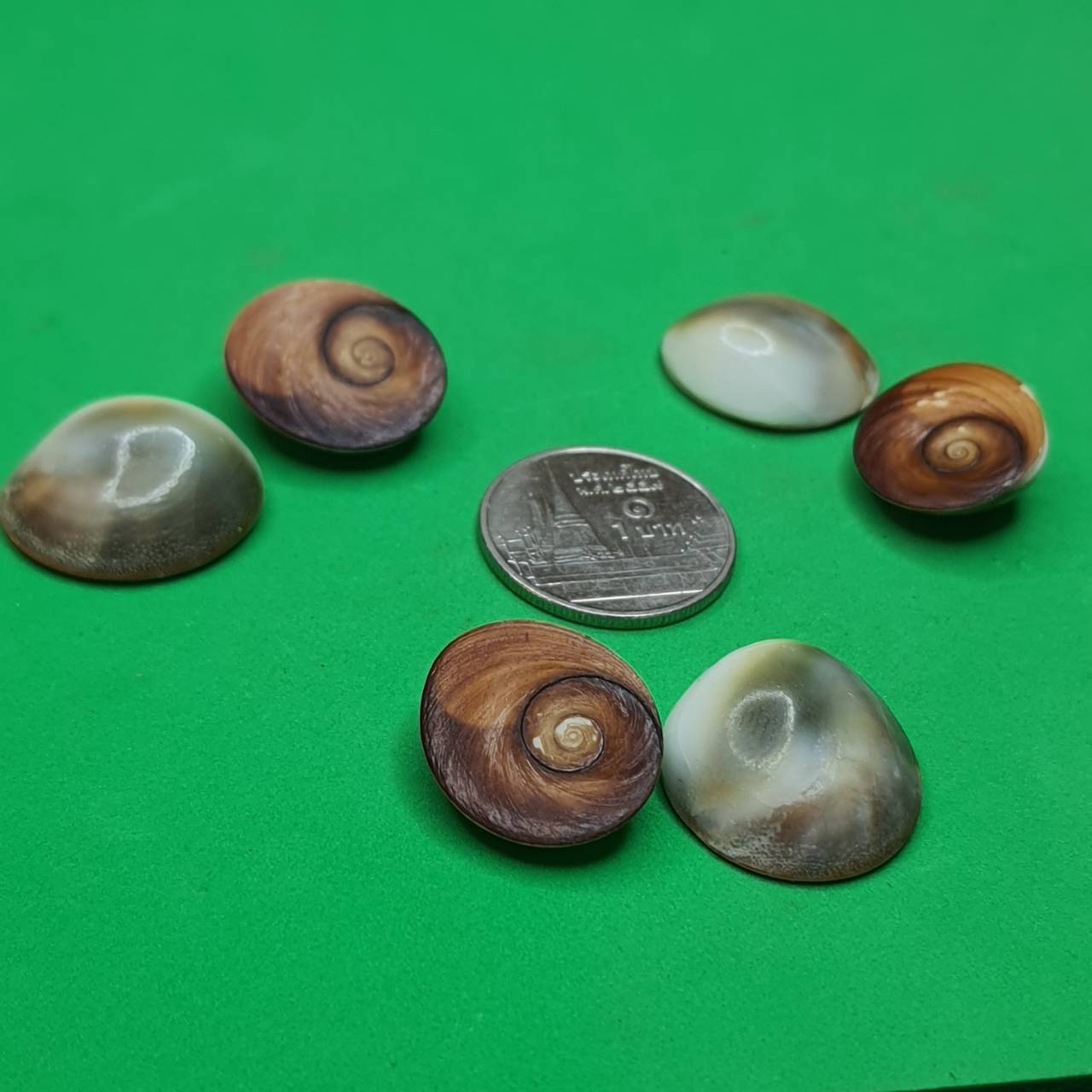 อิ่นอ้อยออยเงิน ให้โชคลาภ ค้าขายดี (ตัวเล็ก ขนาด 1.5-2 ซม. 1 คู่ แถม 1 คู่)