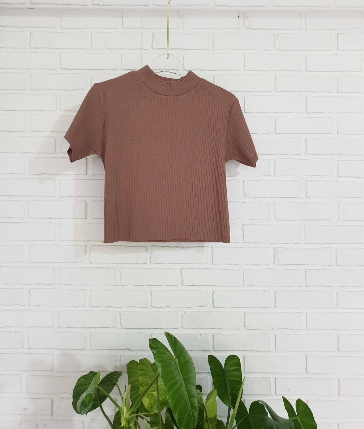 ครอปร่องคอปีน