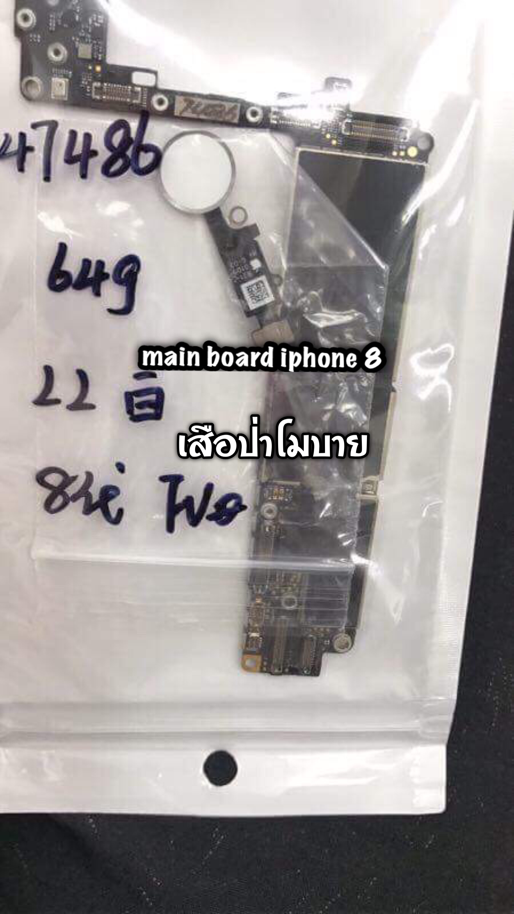 ราคาบอร์ด iphone 8(64g)สแกนนิ้วมือได้
