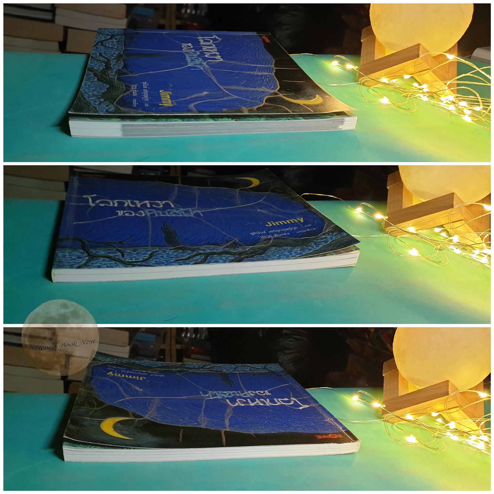 โลกเหงาของหินสีฟ้า (The Blue Stone) / Jimmy Liao (จิมมี่ เลียว)