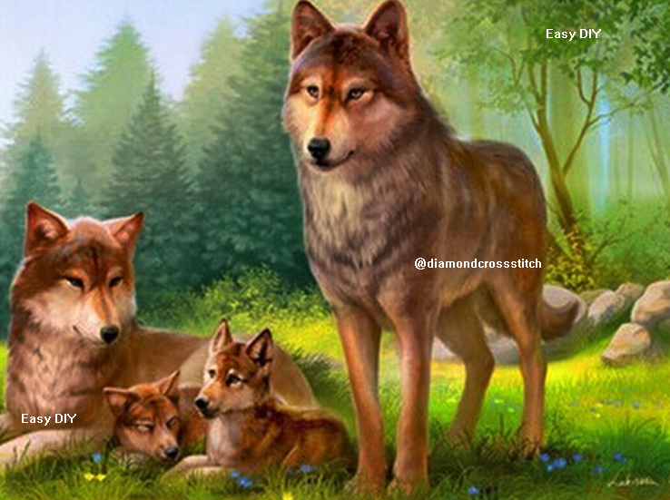 หมาป่า (wolf)