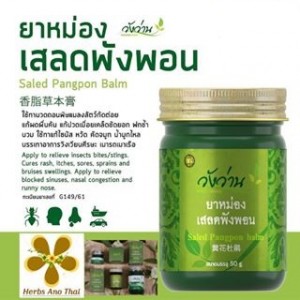 ยาหม่องวังว่าน 50 กรัม ( เสลดพังพอน )