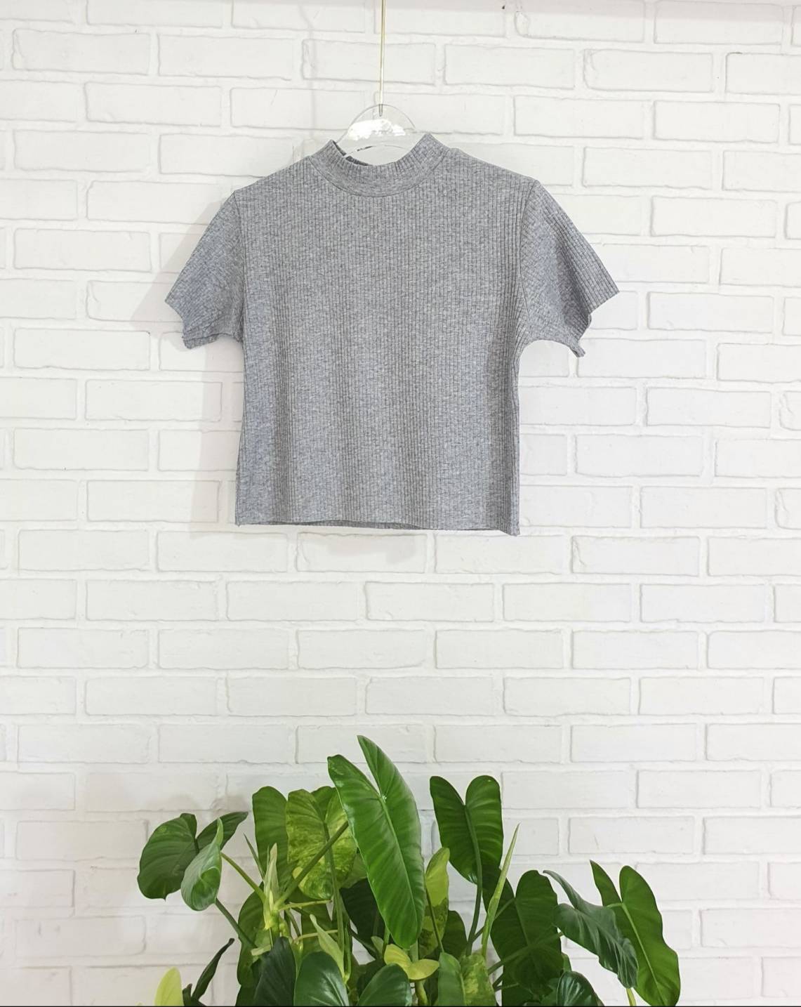 ครอปร่องคอปีน