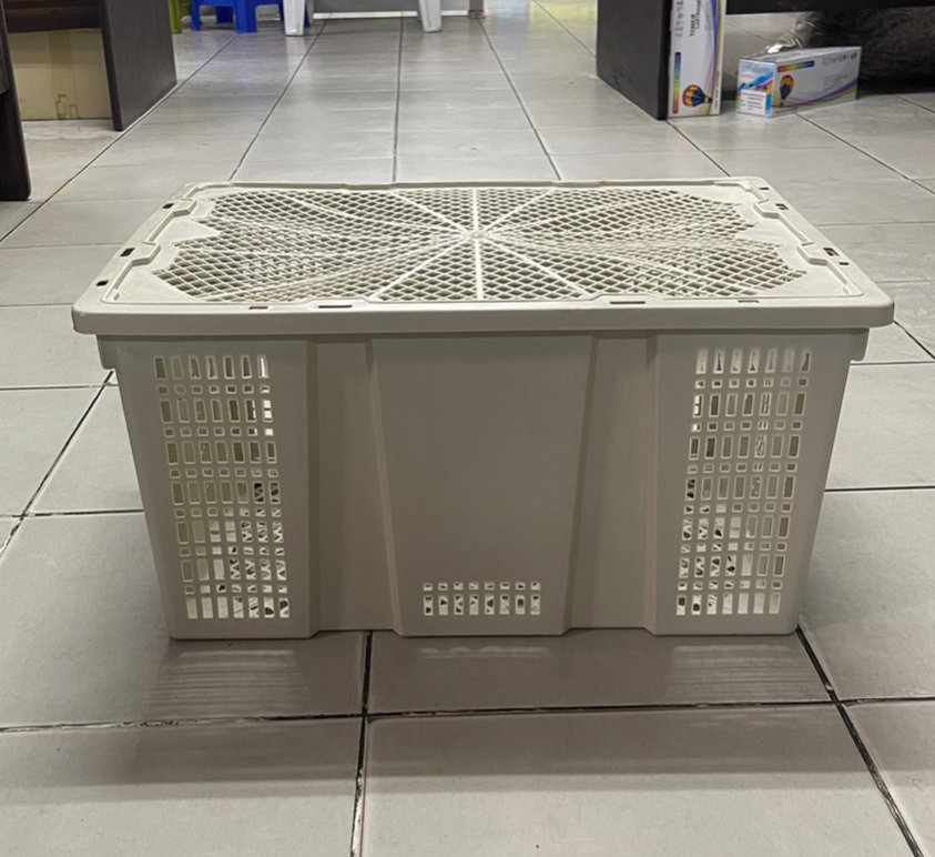 ตะกร้าลองกอง 185 B