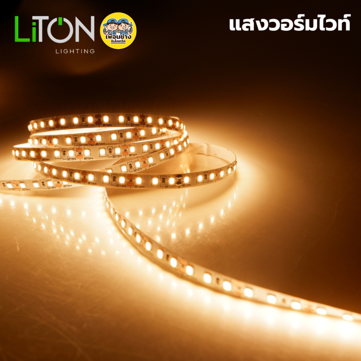 LiTON ไฟเส้น DC LED 12V SMD 2835 รุ่น Spectrum 10W สายยาว 5 เมตร IP20 สีเดียว มี3แสงให้เลือก แสงขาว แสงวอร์มไวท์ แสงคูลไวท์