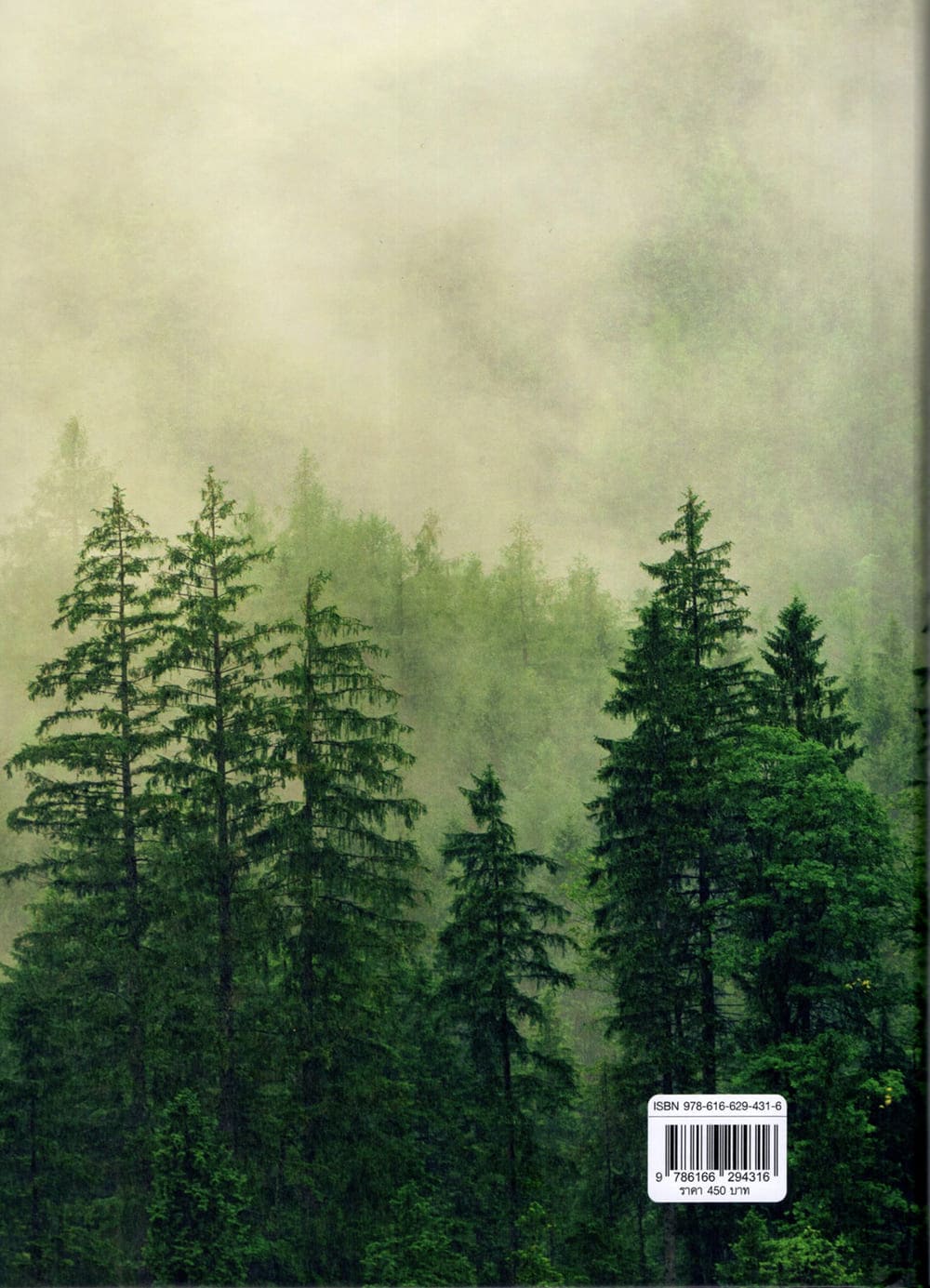 (แถมปกใส) ข้อสังเกตเกี่ยวกับคดีป่าไม้และคดีสิ่งแวดล้อมที่สำคัญ พร้อมตัวบท พิมพ์ครั้งที่ 1 พิชัย เพ็งผ่อง TBK1371 sheetandbook ALX