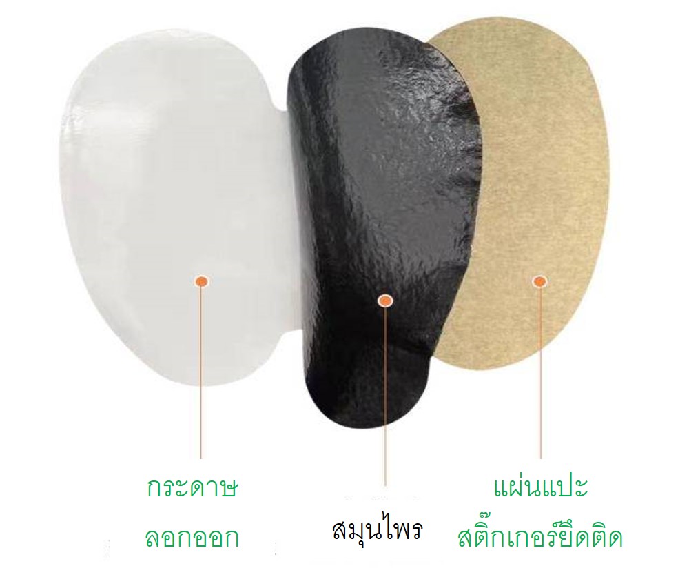 แผ่นแปะผ่อนคลายปวดเมื่อยกล้ามเนื้อบริเวณหลังและเอวพร้อมส่ง