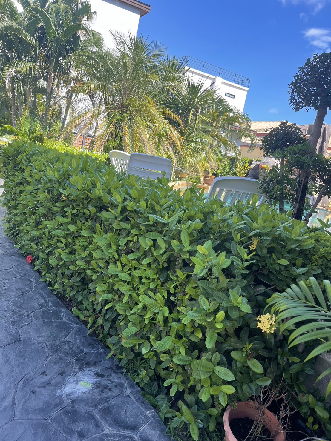 For Rent : Rawai, Private Pool Villa, 6 bedrooms 5 bathrooms