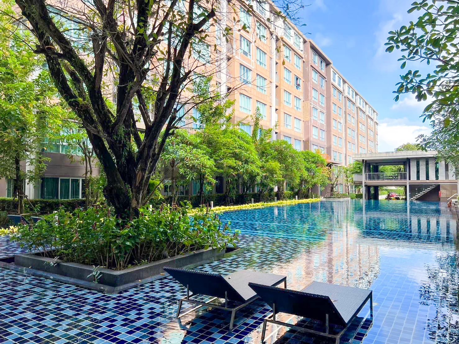 For Rent : Kuku, Dcondo campus, 1 Bedrooms 1 Bathrooms, 2nd flr.