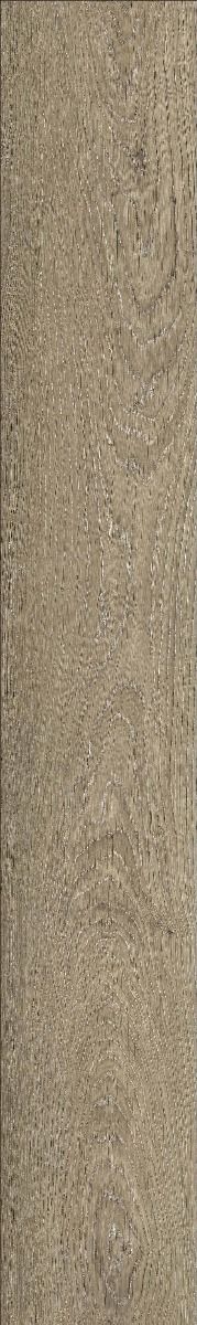 LT 22.6x152 เลซอร์ โอ๊ค CK05(4/0.3 mm)