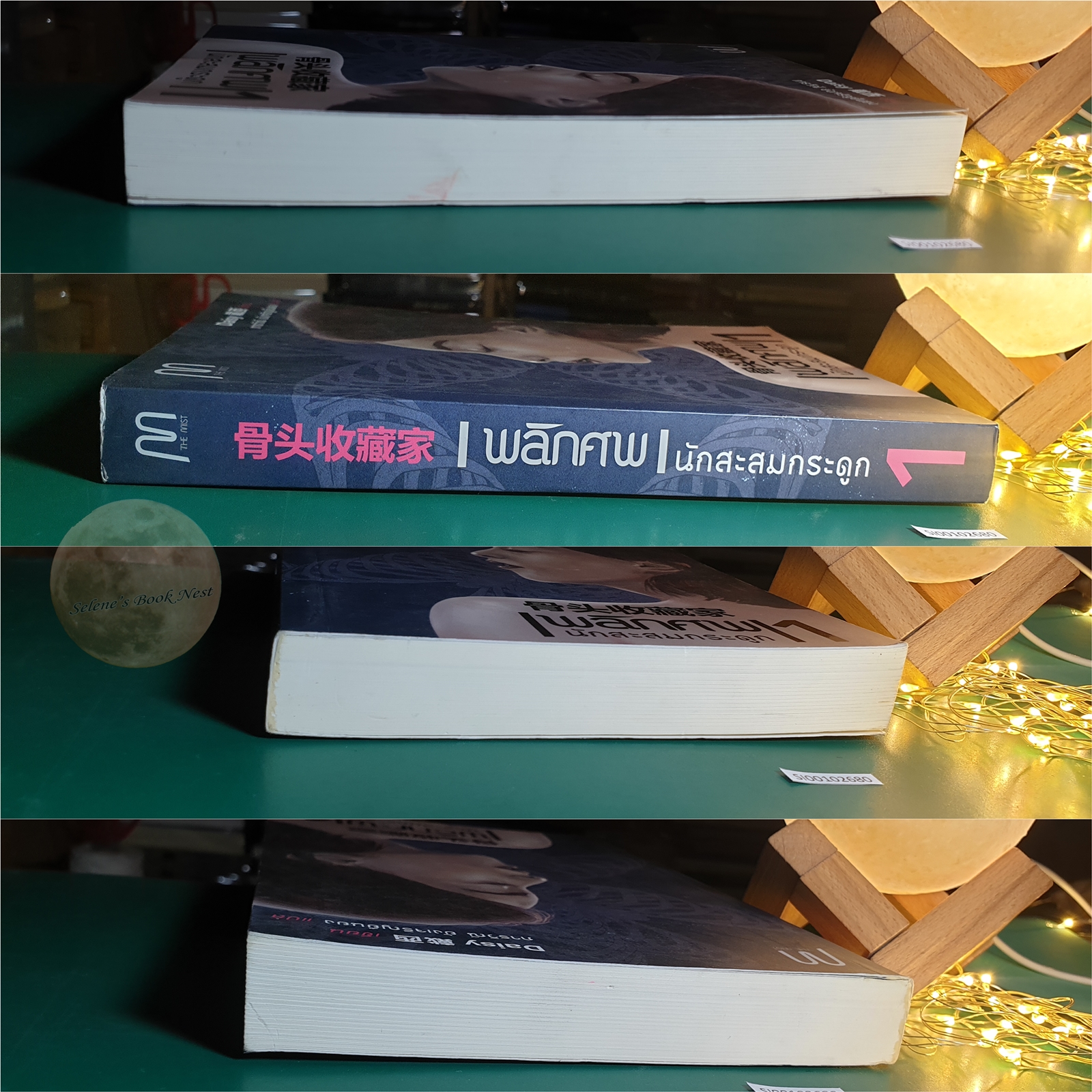 พลิกศพนักสะสมกระดูก เล่ม 1 / Daisy
