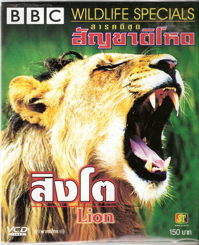 สิงโต สารคดี Lion Wildlife Specials - สารคดีระดับโลกจาก BBC England