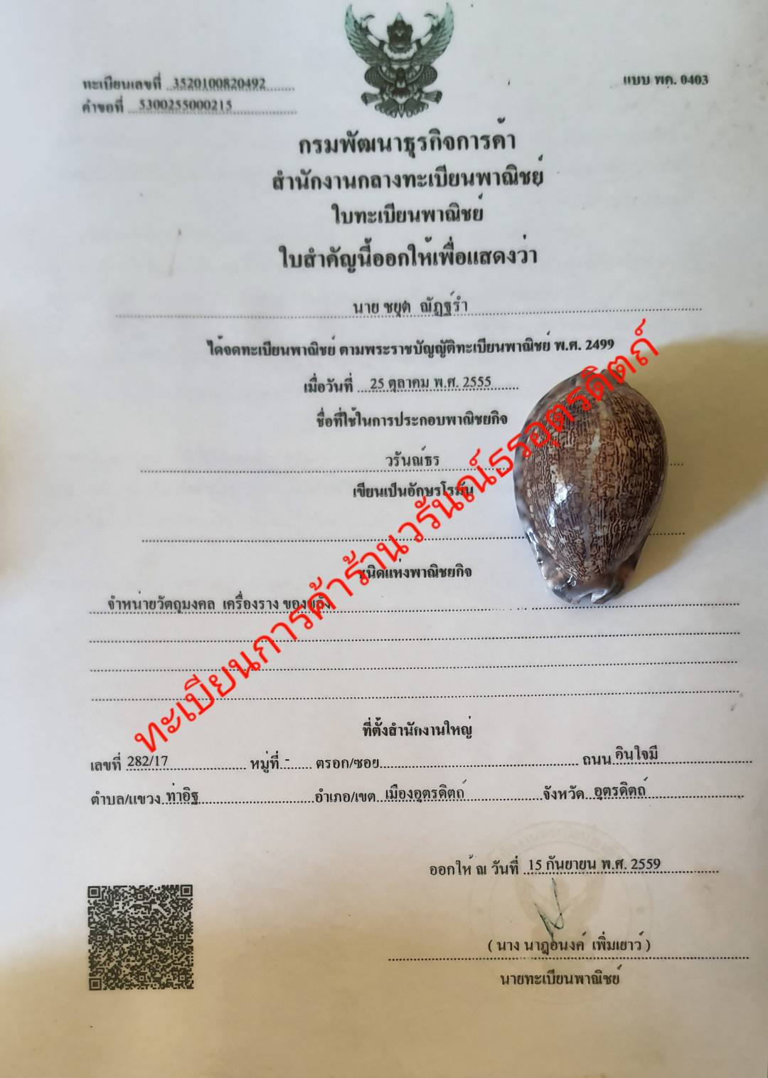 ของป้องกัน เบี้ยแก้ครู เล็ก ขนาดความยาว 4 - 5 ซม. เบี้ยแก้คุณไสย ของแท้ เบี้ยแก้ปลุกเสก เบี้ยแก้หอย เบี้ยแก้ของแท้