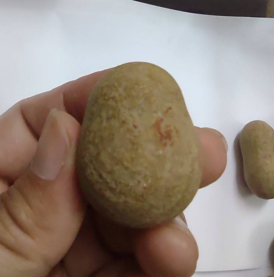 หมากไม้มณีโคตร ขนาด 3-4 ซม.(คละแบบคละขนาด)