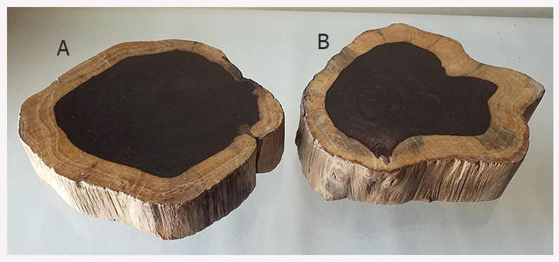 ฐานไม้มะเกลือ(African Ebony) หนา3cm แบบที่2(ตัวอย่าง)