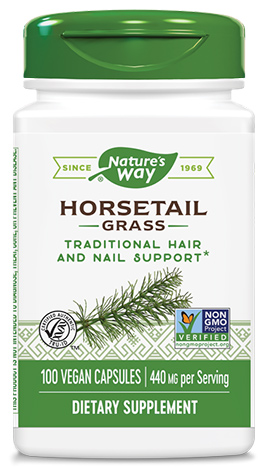 หญ้าหางม้า, Horsetail Grass