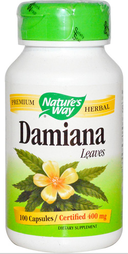 ใบแดมเมียนา, Damiana Leaf