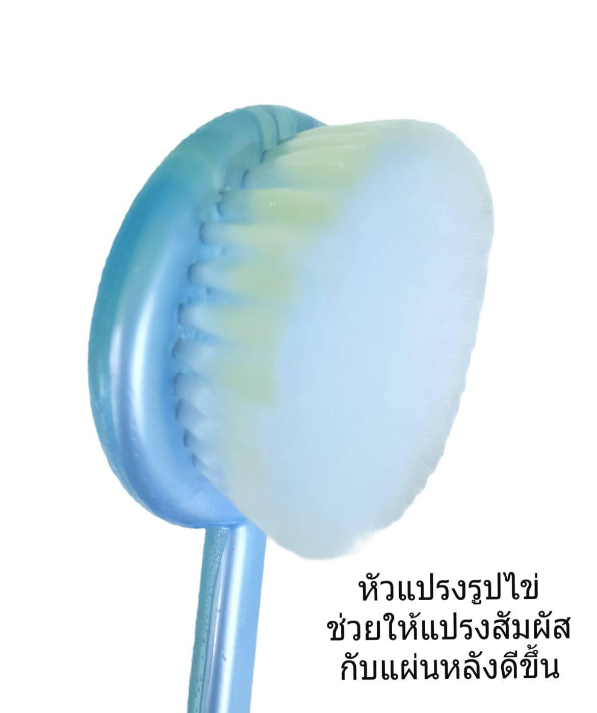 Small Evting แปรงขัดตัว แปรงอาบน้ำ เวลาอาบน้ำ ด้ามยาว อย่าลืม !! กดติดตามร้าน "รับส่วนลดเพิ่ม" หลากสี แปรงขัด แปรงขัดหลัง