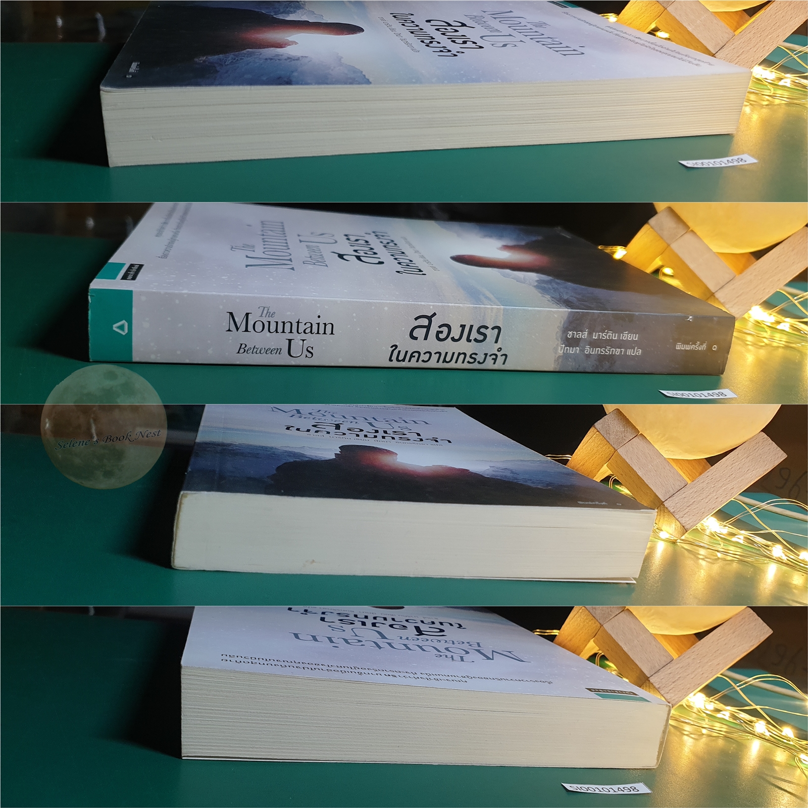 สองเราในความทรงจำ (The Mountain Between Us) / Charles Martin (ชาลส์ มาร์ติน)