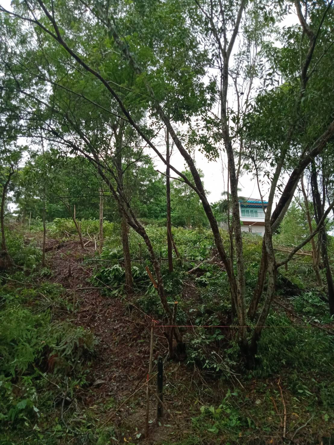 For Sales : Land Kathu, Near Phumontra , 323 Sq.w.