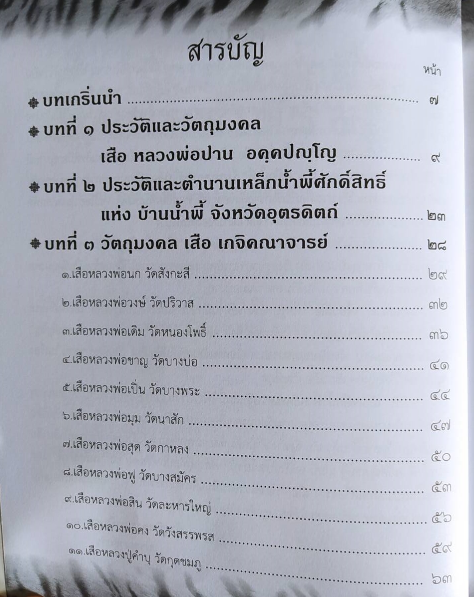 หนังสือ เสือเหล็กน้ำพี้พยัคฆ์เศรษฐีหลวงพ่อปาน อคฺคปญฺโญ