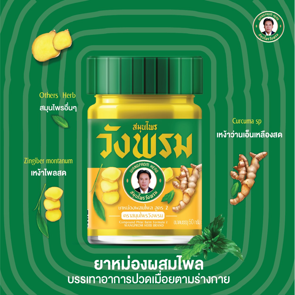 ยาหม่อง วังพรมไพล 50 กรัม ( เหลือง )