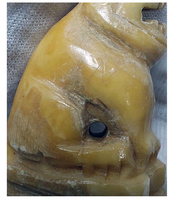 เขี้ยวหมูป่าแกะเสือ--T2580-B