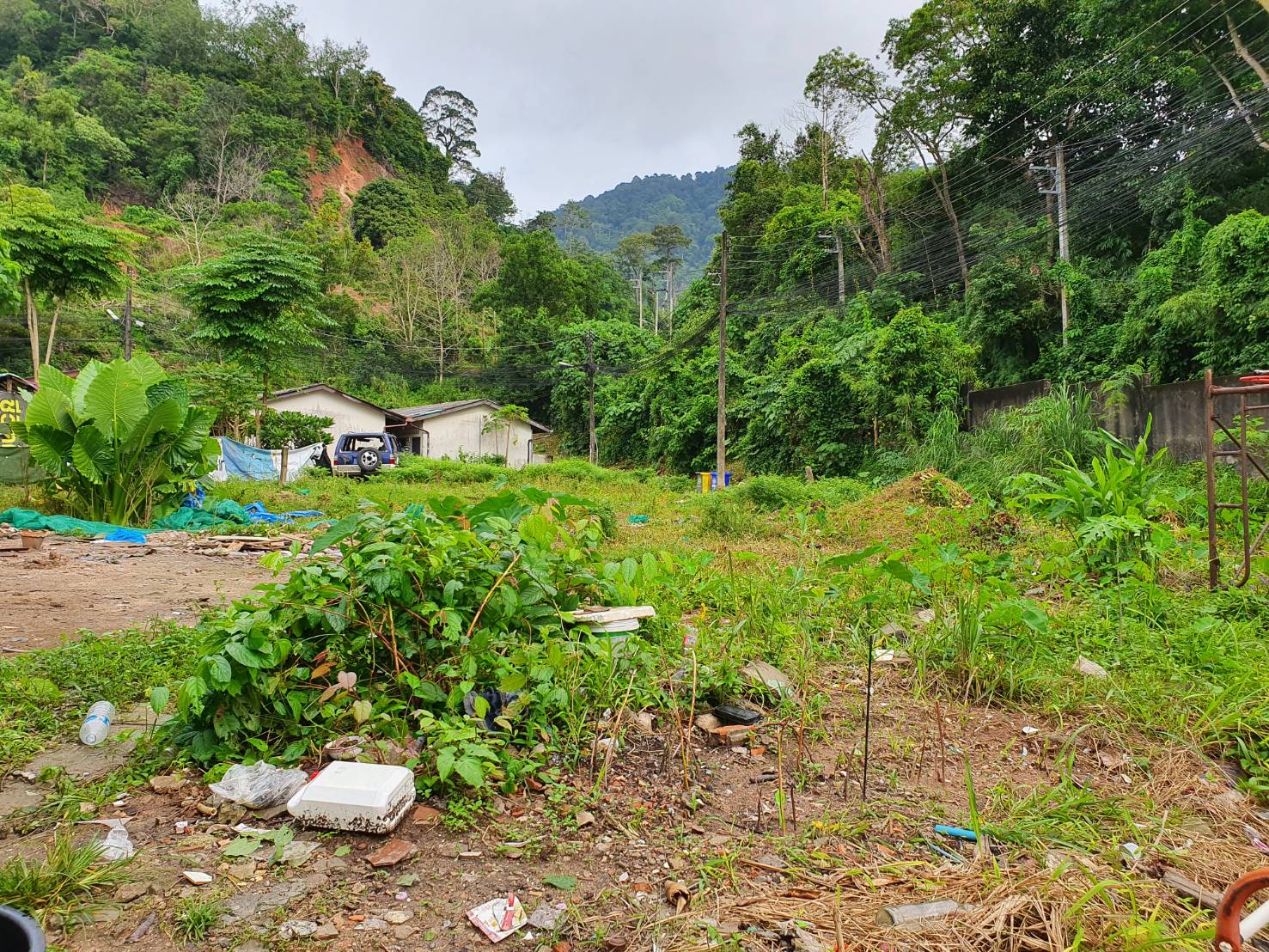 For Sales : Land Kathu, Near Patong , 70 SQ.W.