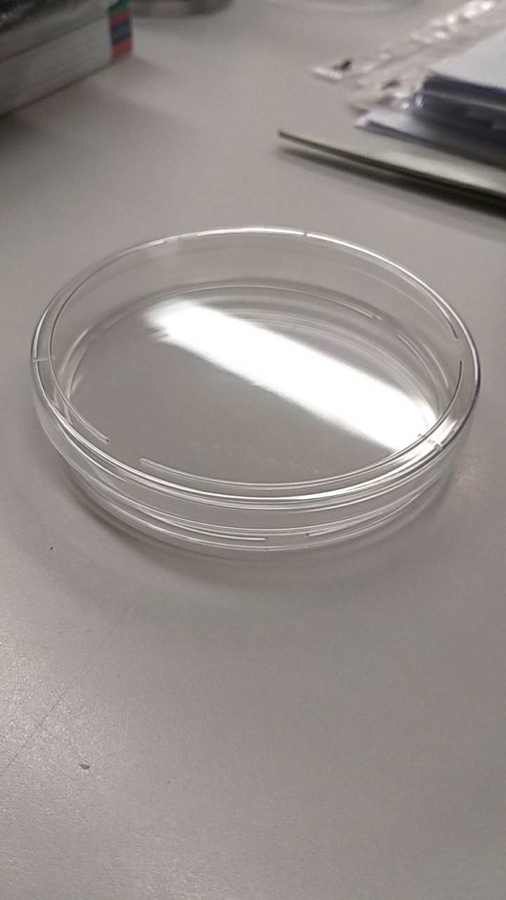 จานเพาะเชื้อ ขนาด 90x15 มม , Petri dish 90x15 mm , พลาสติก LAPMA 500 คู่ต่อลัง (ขายส่ง)