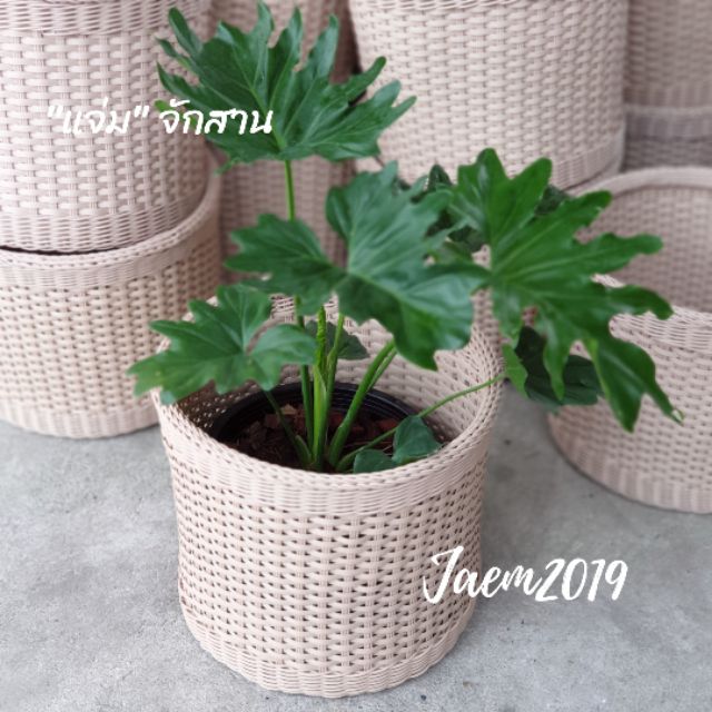ตะกร้าหวายเทียม ตะกร้าหวาย ตะกร้าหวายใส่ผ้า ตะกร้าหวายใส่ขยะ ตะกร้าหวายใส่ต้นไม้ แจ่มจักสาน