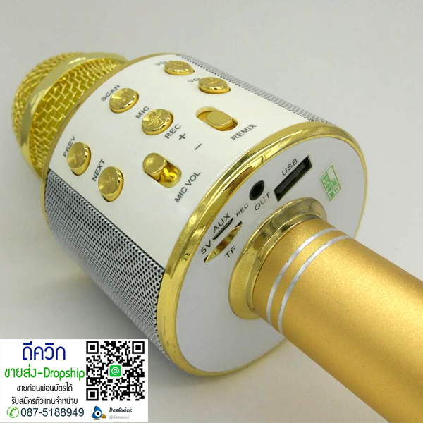 WS-858 Wireless Bluetooth HIFI Karaoke Microphone mic– สีทอง