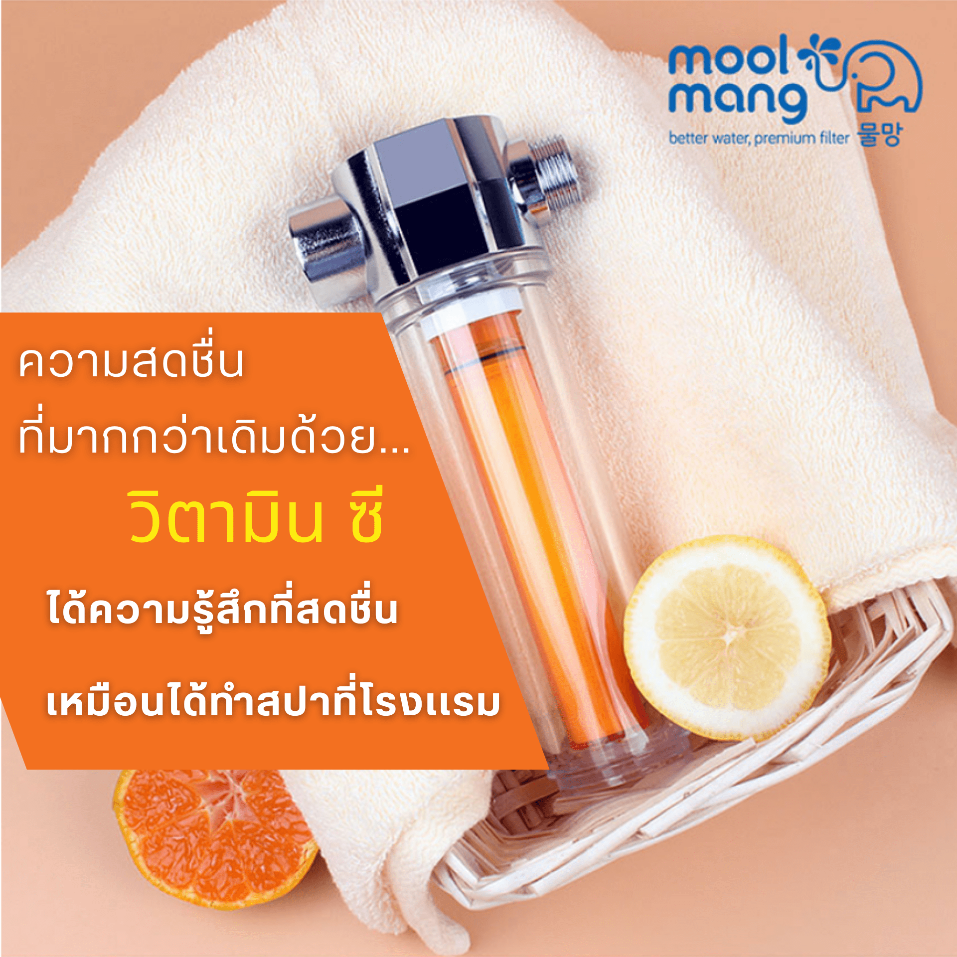 Vitamin C Shower Filter (2 Replacement Filters)