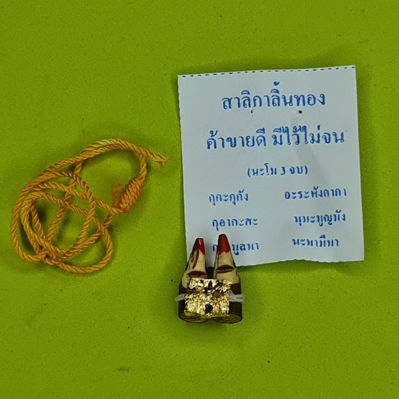 ของนำโชค สาริกา ลิ้นทอง ปากแดง ค้าขายดี มีไว้ไม่จน สาริกาเสน่ห์ สาริกาลิ้นทอง