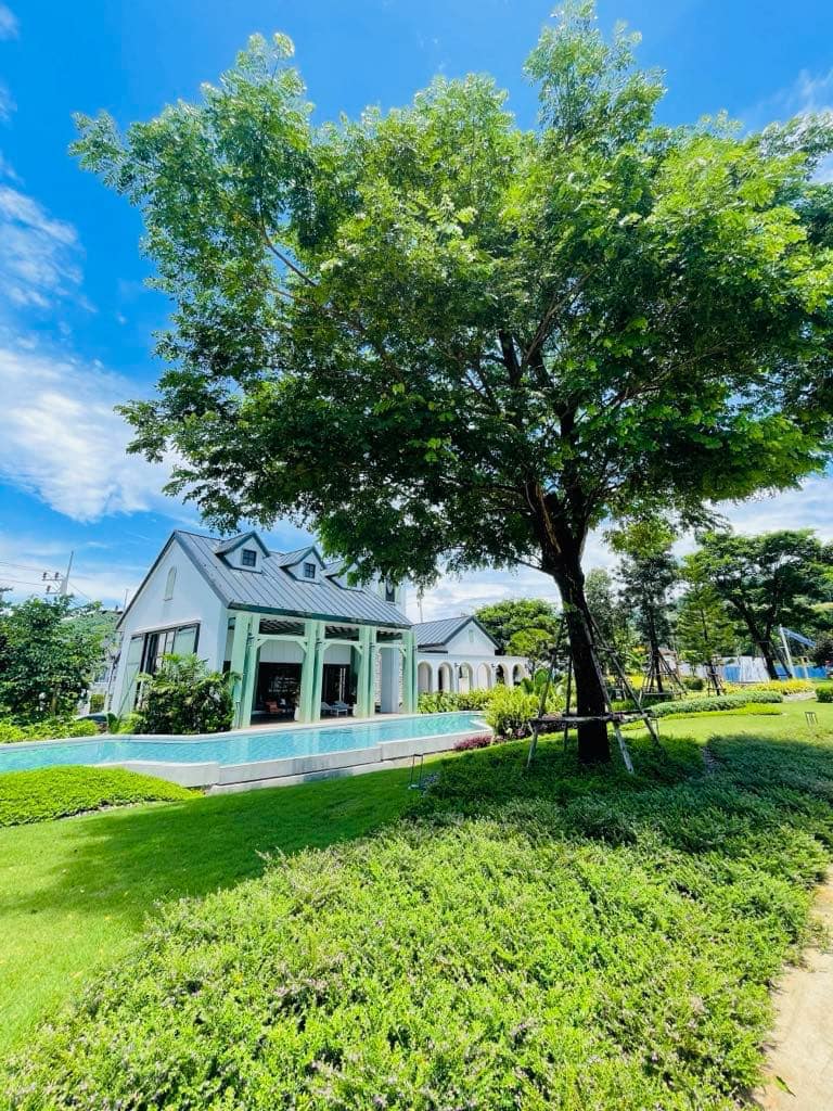 For Rent : Pakhlok, 2-Story Twin House, 3 bedrooms 3 bathrooms