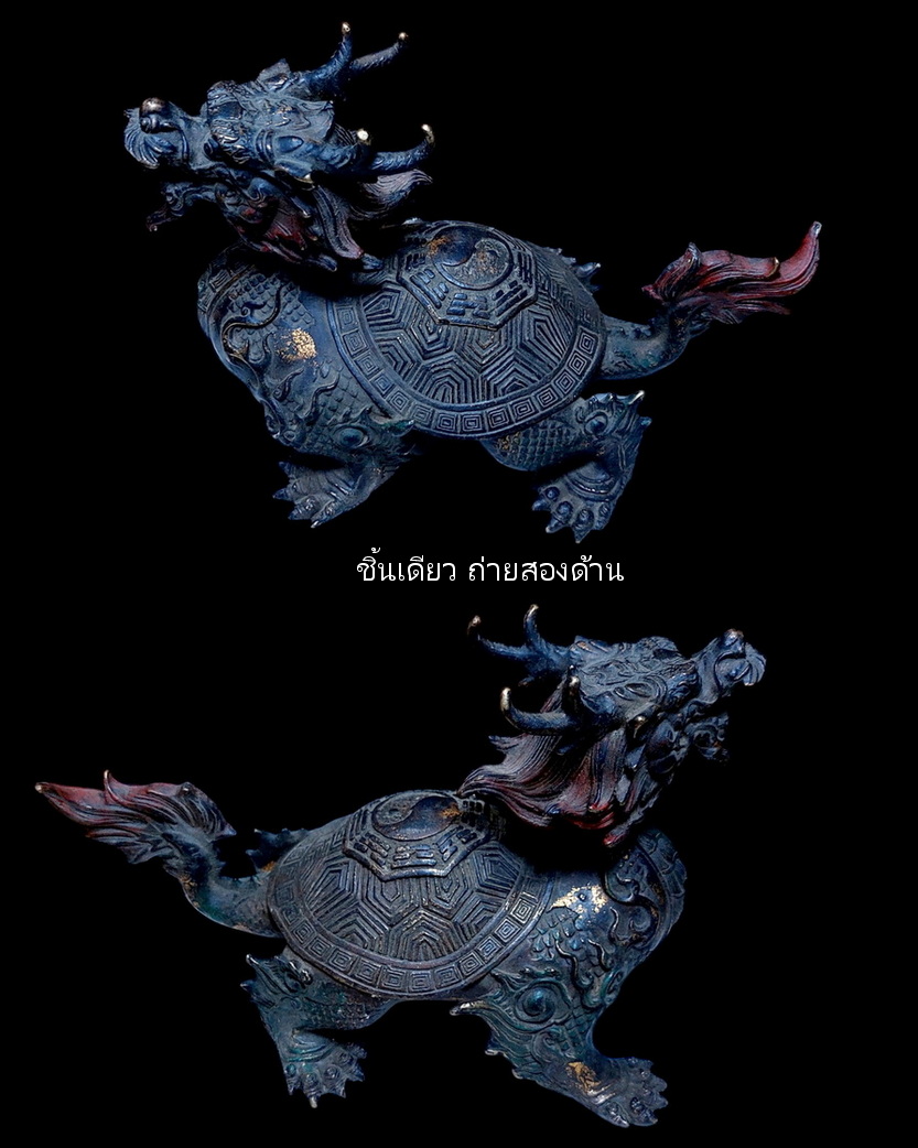 เต่ามังกร หลังหยินหยางยันต์แปดทิศ
