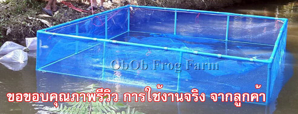 กระชังมุ้งไนล่อน 16ตา/นิ้ว รุ่นลึก 1.2 ม. ( กระชังในน้ำ ไม่มีฝา ) ใช้เป็น กระชังเลี้ยงปลา กระชังใส่ปลา กระชังเลี้ยงกบ