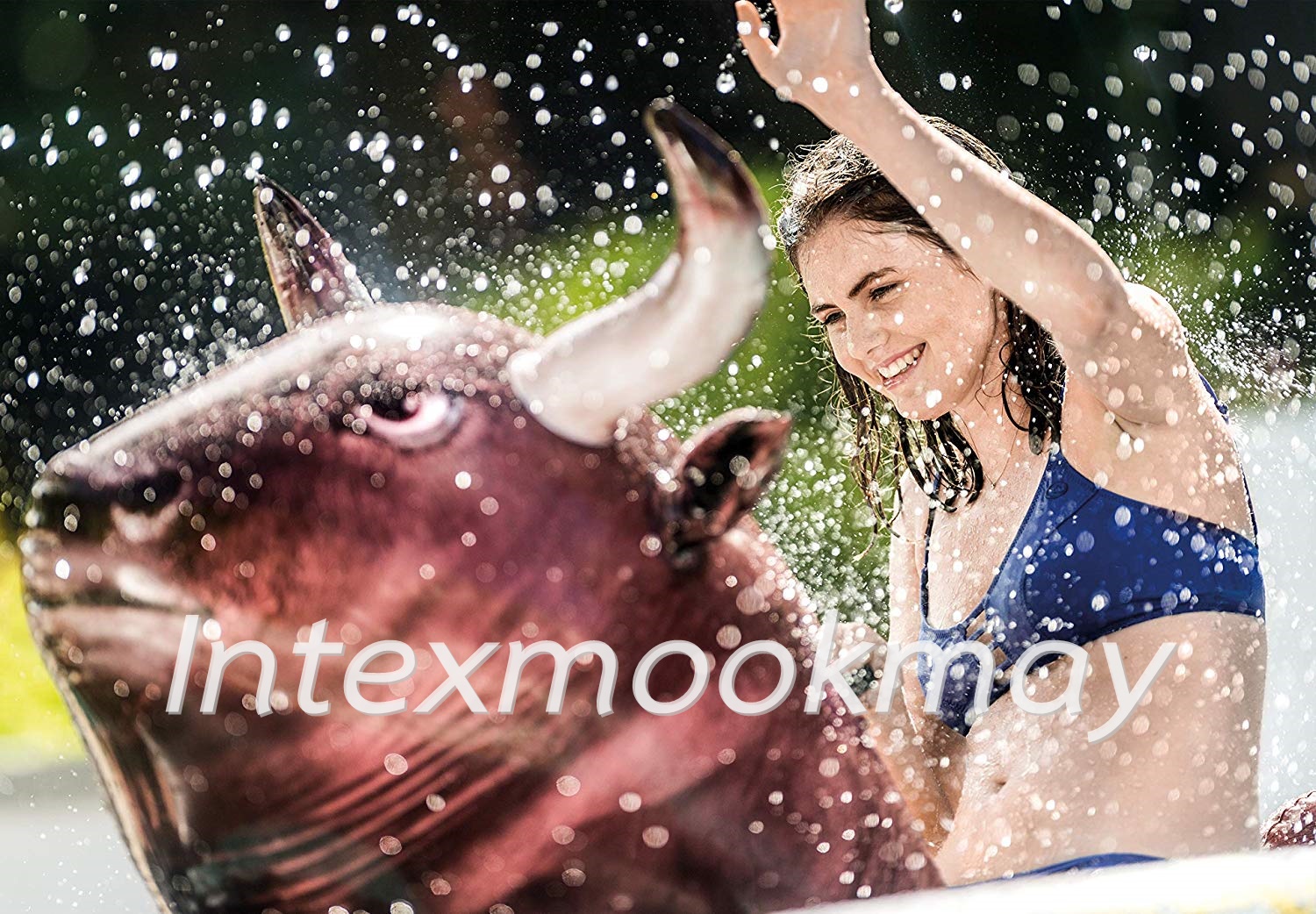 Intex 56280 แพยางกระทิง