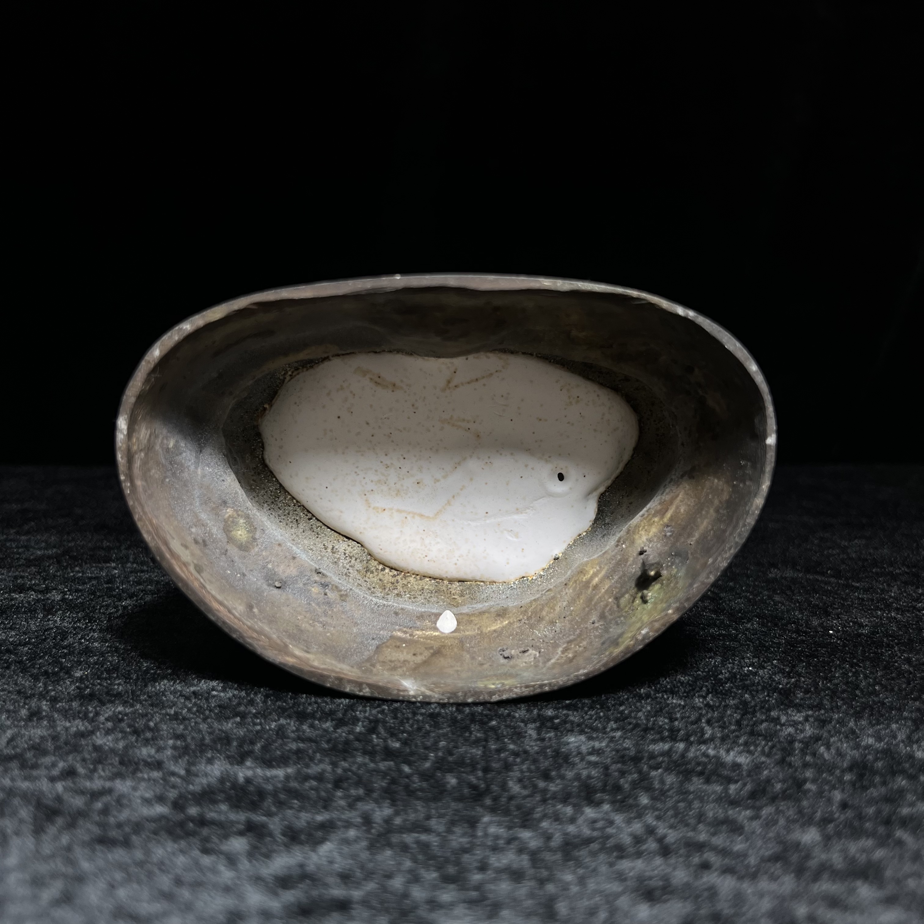 พระวุฒิจิตรลดามหามงคล ปี2542 หน้าตัก 3.5นิ้ว(อีก1ของดีที่หายาก)