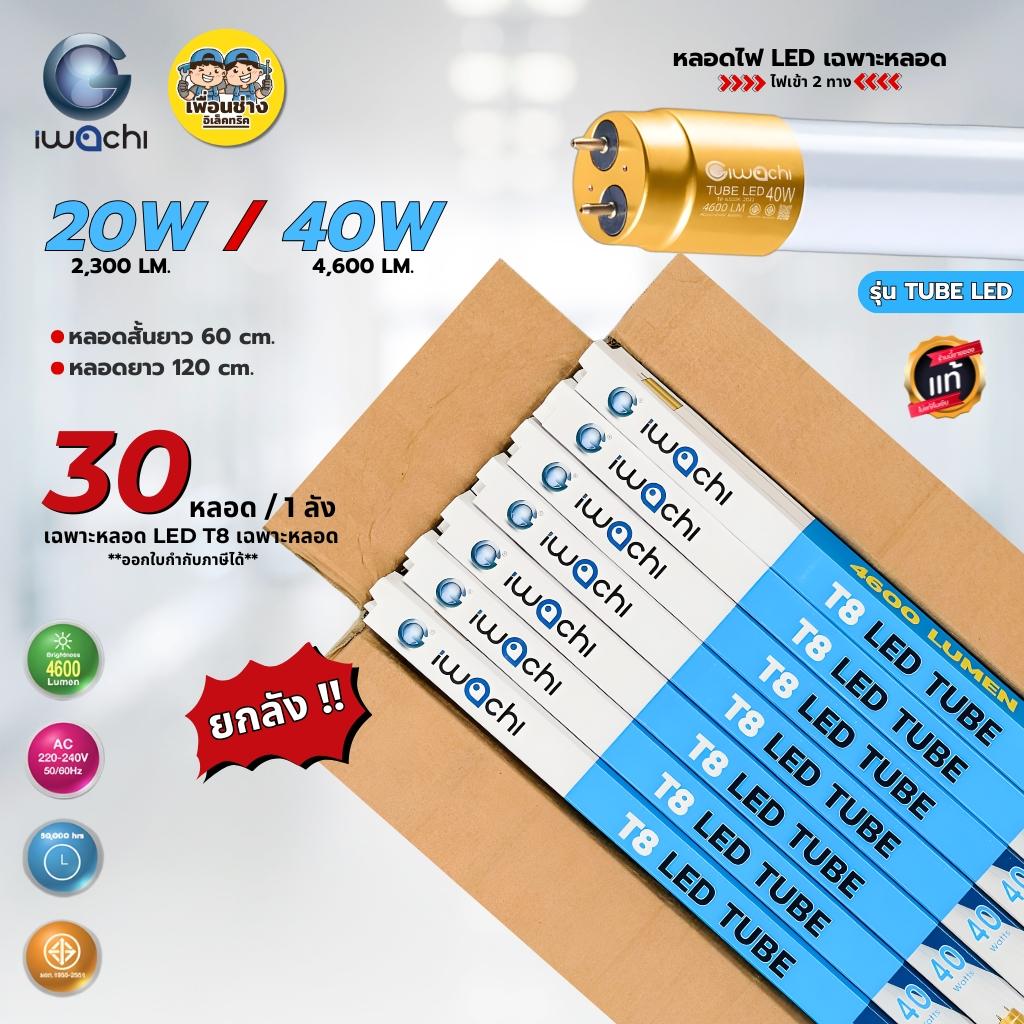 **เฉพาะหลอด** IWACHI ยกลัง เฉพาะหลอด T8 รุ่น TUBE LED 20W 40W ยกลัง 30 หลอด ไฟเข้า 2 ทาง
