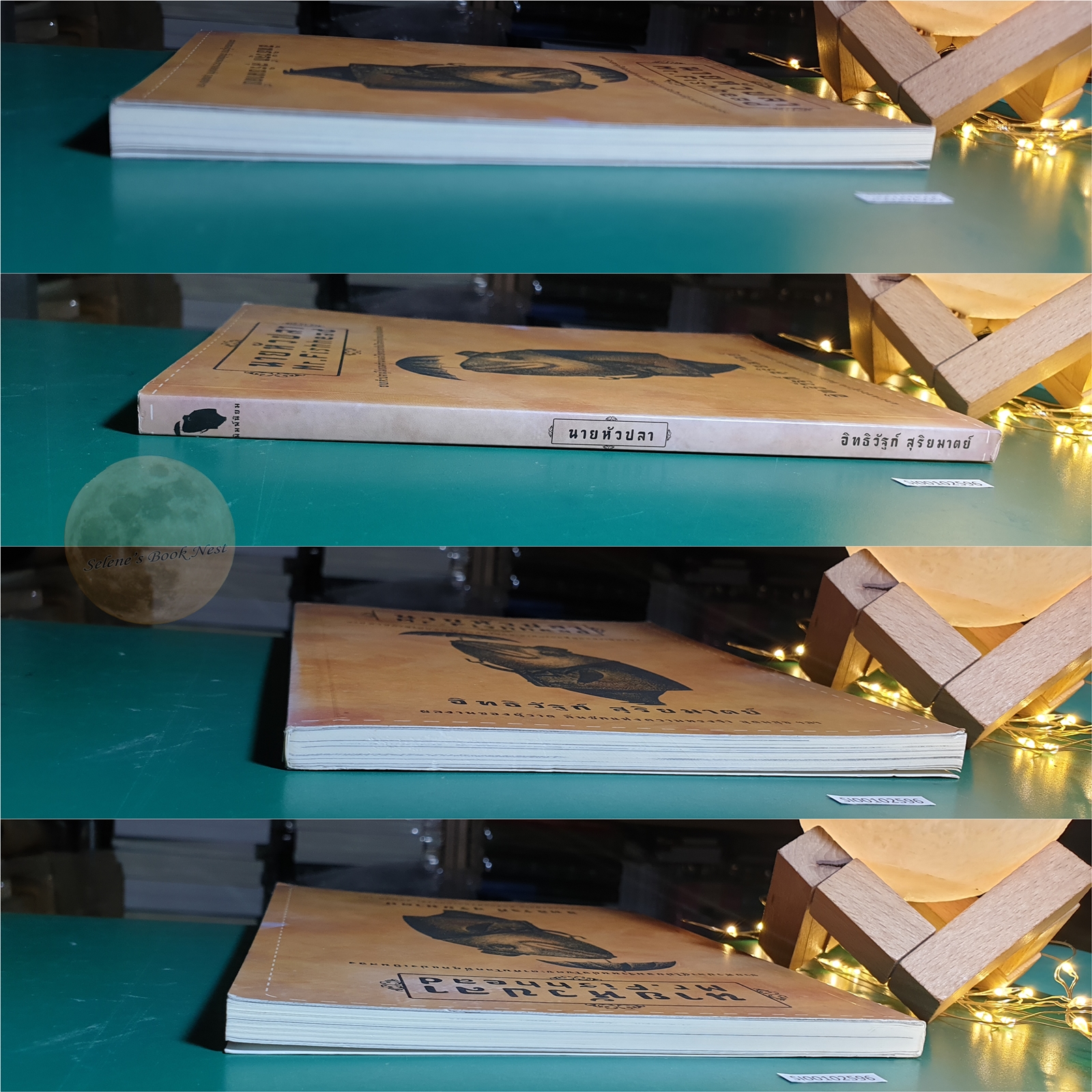 นายหัวปลา (Mr.Fishhead) / อิทธิวัฐก์ สุริยมาตย์
