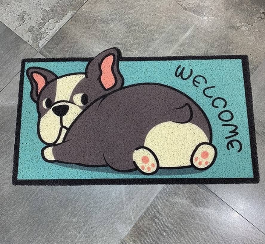 พรมเช็ดเท้าดักฝุ่น ลายน่ารัก