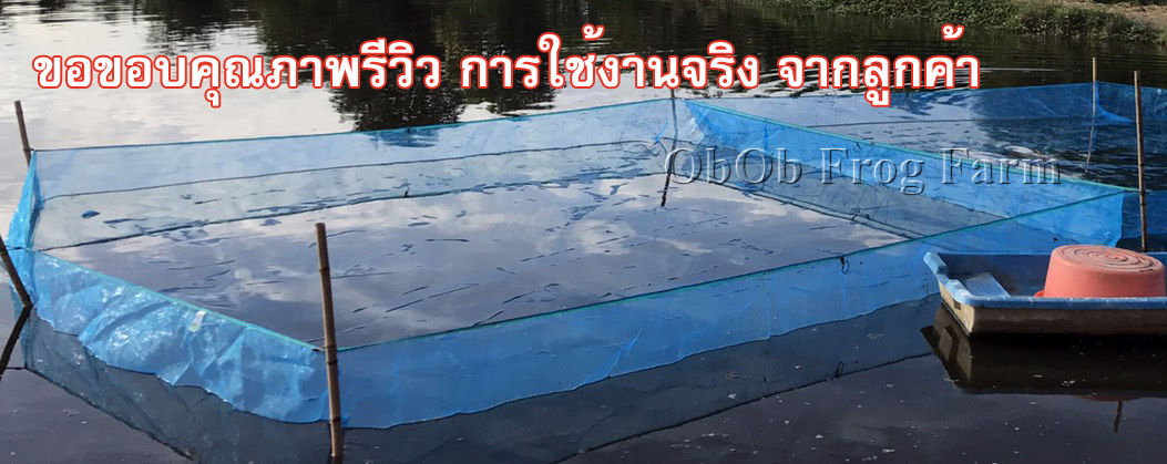 กระชังมุ้งไนล่อน 16ตา/นิ้ว รุ่นลึก 1.2 ม. ( กระชังในน้ำ ไม่มีฝา ) ใช้เป็น กระชังเลี้ยงปลา กระชังใส่ปลา กระชังเลี้ยงกบ