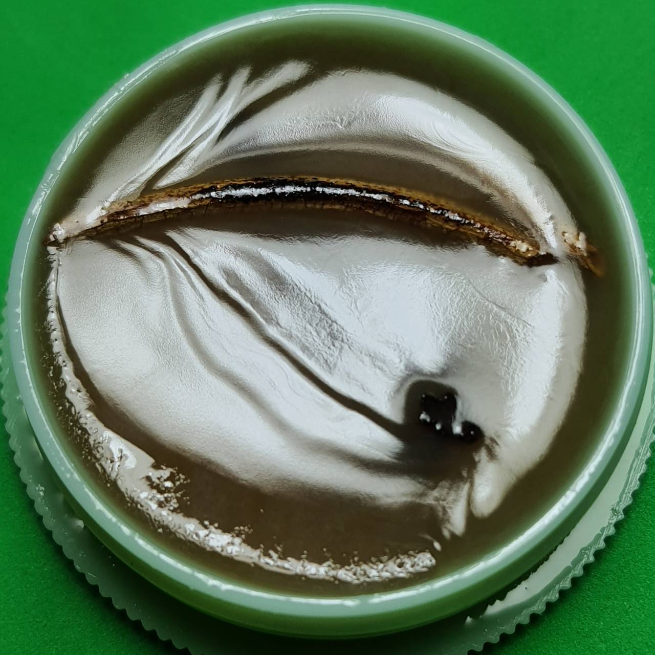 ของเสน่ห์ สีผึ้งโภคทรัพย์ ไก่ฟ้าพญาลอ สีผึ้งเรียกทรัพย์ สีผึ้งนำโชค สีผึ้งแท้ ไก่ฟ้าพญาลอ ว่านไก่ฟ้าพญาลอ