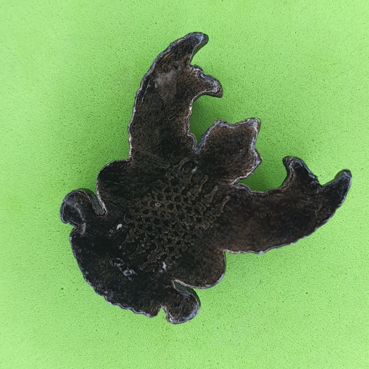 พระเครื่อง พญาครุฑห้อยคอ รุ่น รุ่งเรือง อำนาจ บารมี สีดำทำเก่า จี้พญาครุฑ พญาครุฑแท้