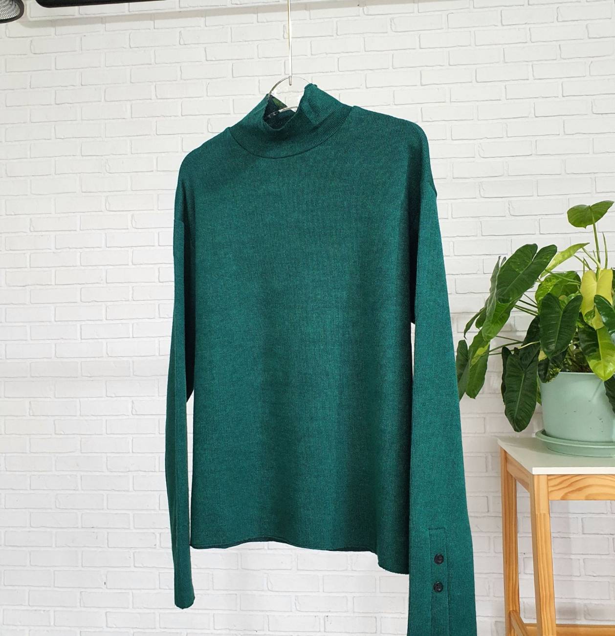 คอเต่าแขนกระดุม