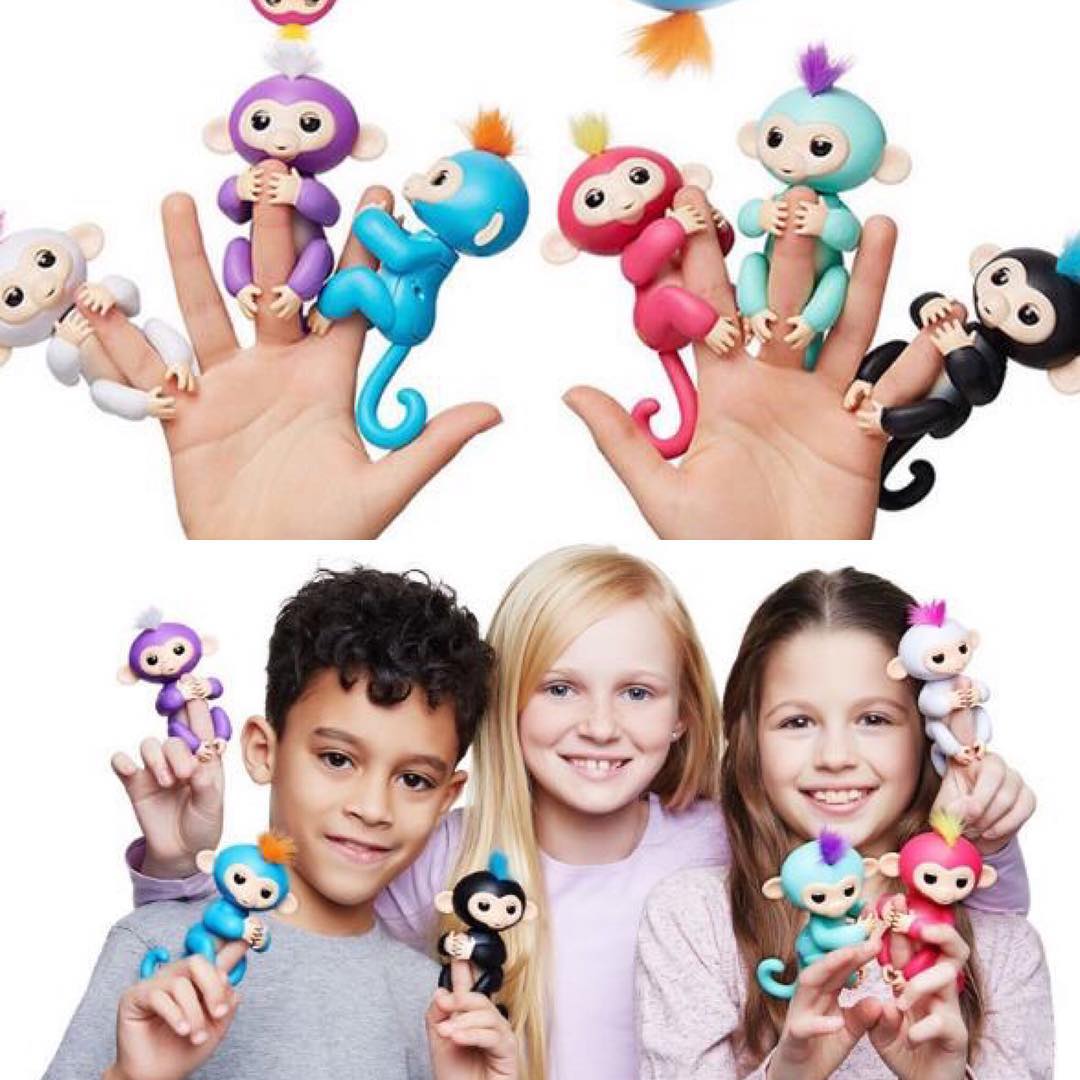 ลิงเกาะนิ้ว Fingerlings Baby Monkeys เกรด AA