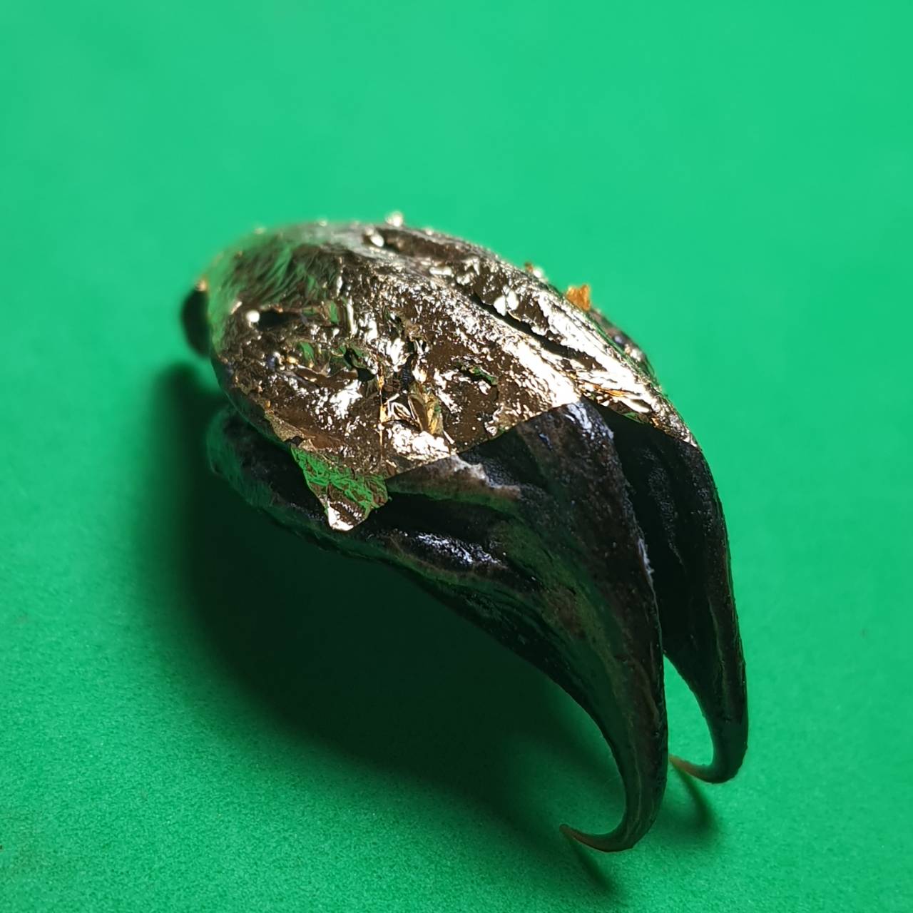 ของป้องกัน พญาเล็บครุฑ สีดำ ป้องกันภัย เพิ่มอำนาจ เกี่ยวเงินทอง เล็บครุฑ เล็บพญาครุฑ ผลเล็บครุฑ